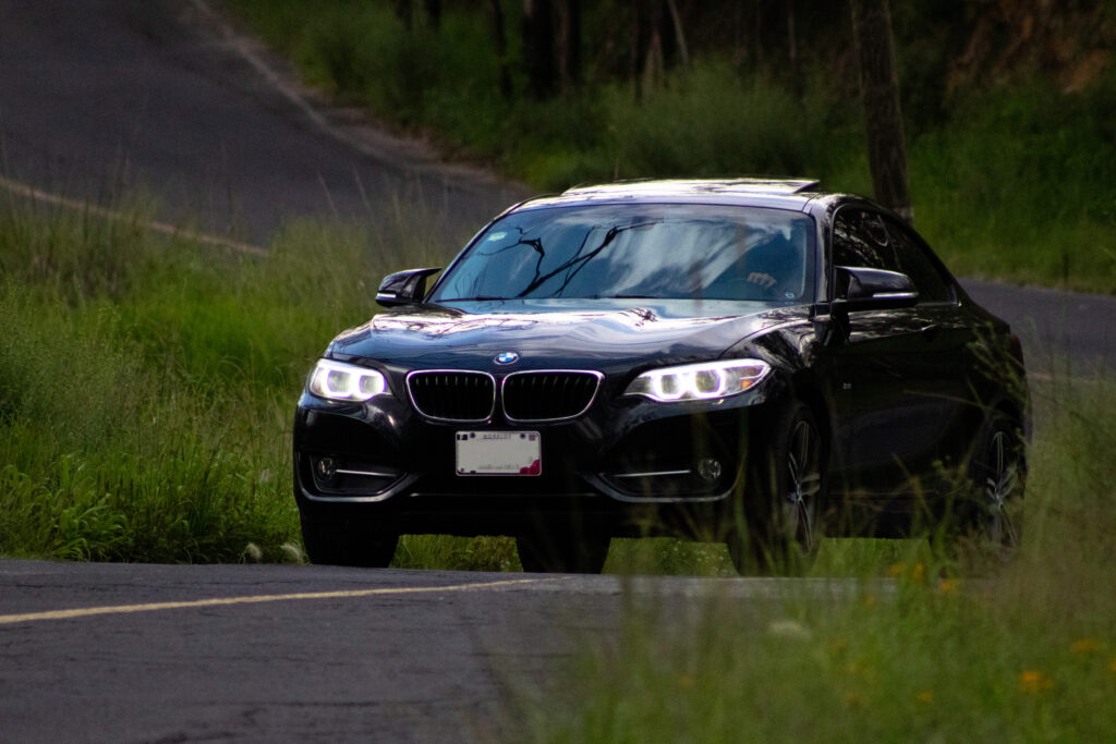 IMG_8919